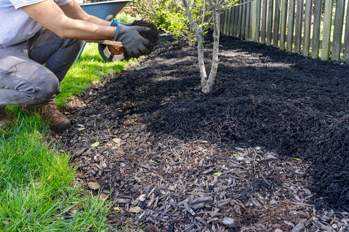 Worker spreading fresh mulch into landscape beds for a polished finish