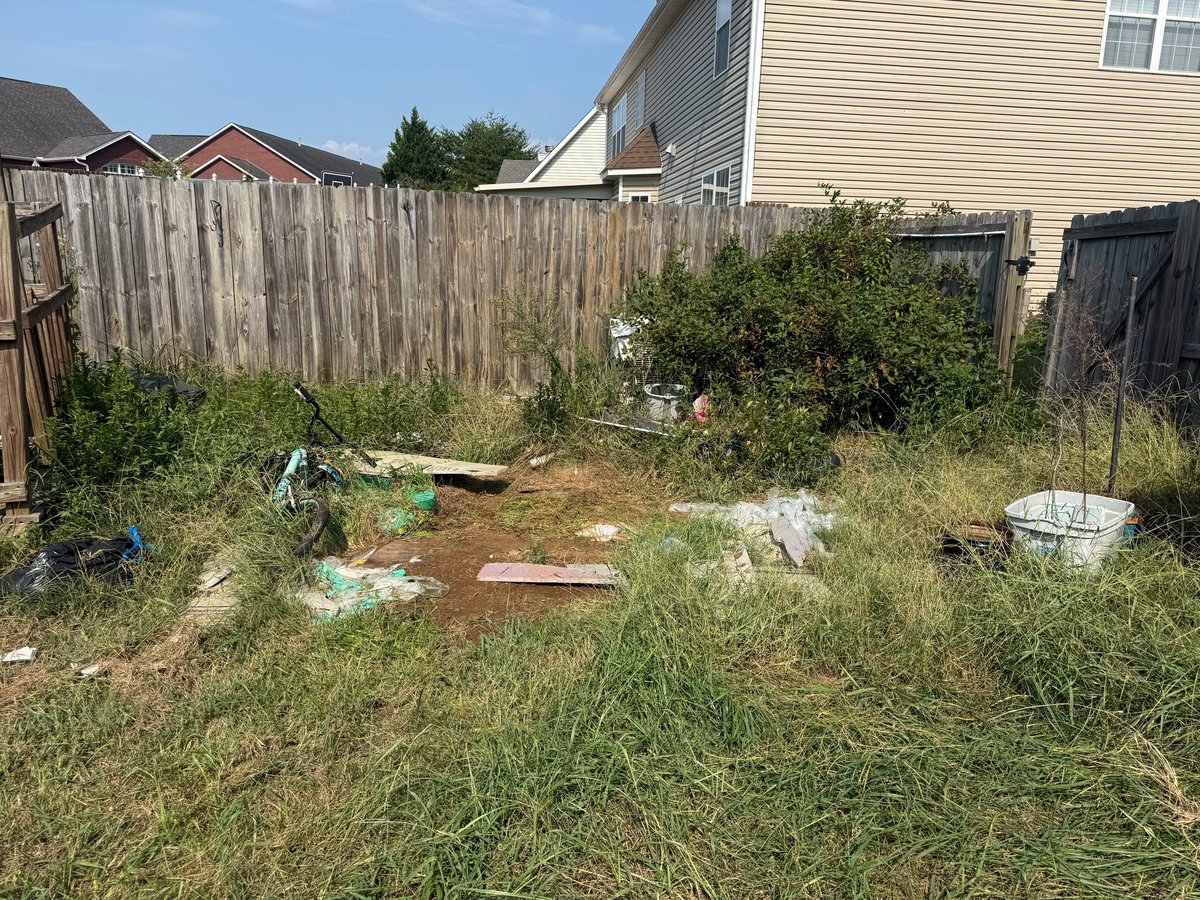 Overgrown backyard with debris and tall grass before a Brock Property Services cleanup